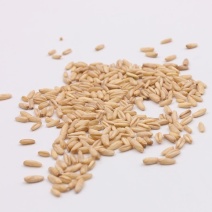 燕麦米，新燕麦米，国产燕麦米，进口燕麦米