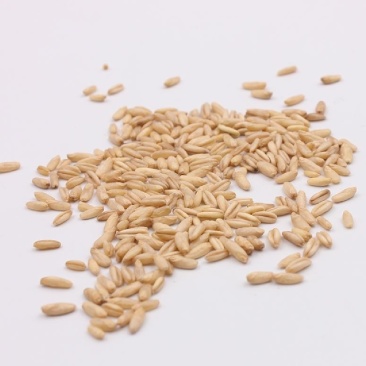 燕麦米，新燕麦米，国产燕麦米，进口燕麦米