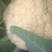 精品花菜大量上产地现砍现发品质保证价格优惠欢迎来电
