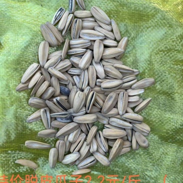 脱皮瓜子（2元/斤）电商专用，量大从优质量保证
