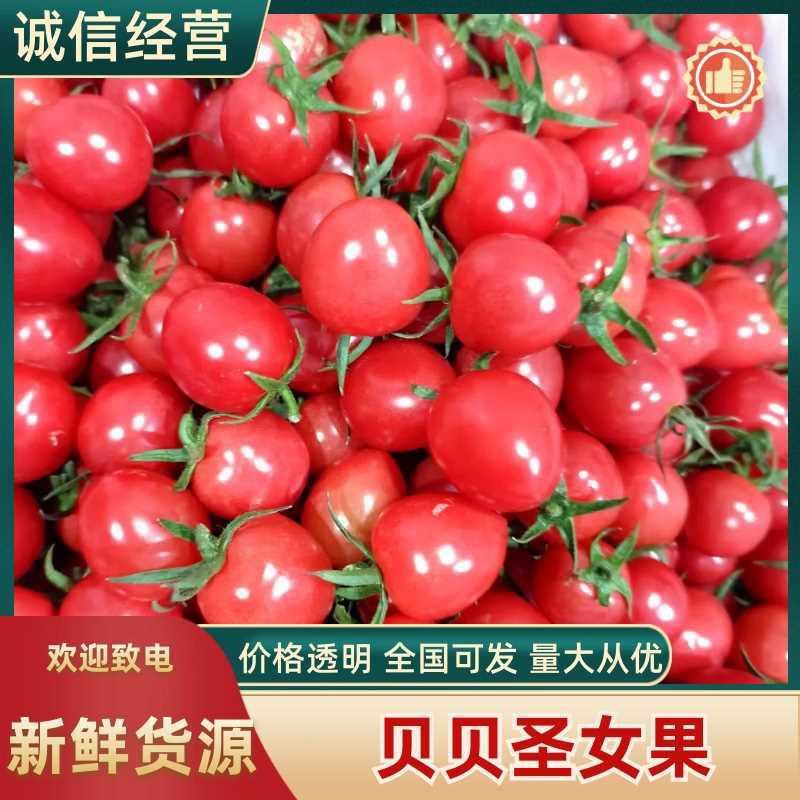 产地直发，诚信经营，，一手货源，品质保证，精品，好货。