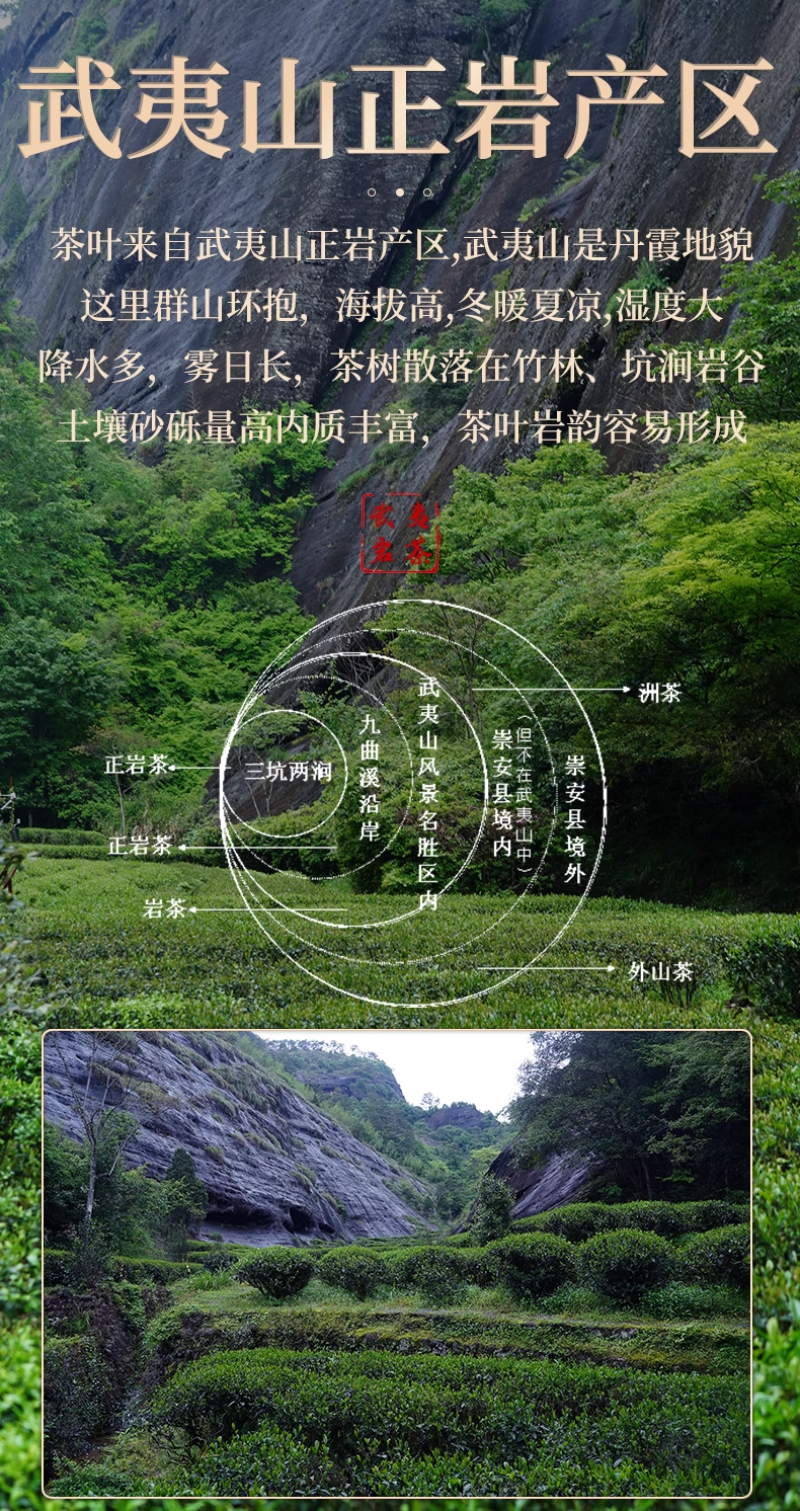 大红袍茶叶礼盒装武夷岩茶正岩肉桂碳焙手工茶花果香型