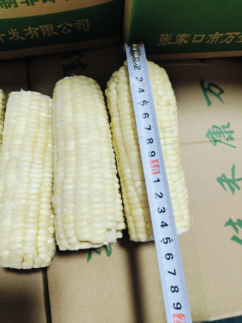 速冻玉米清库存