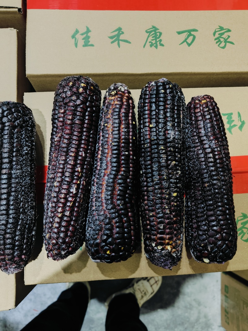 速冻玉米清库存