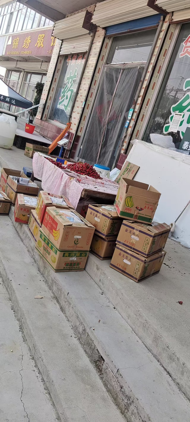 山东大樱桃大量上市，价优物美