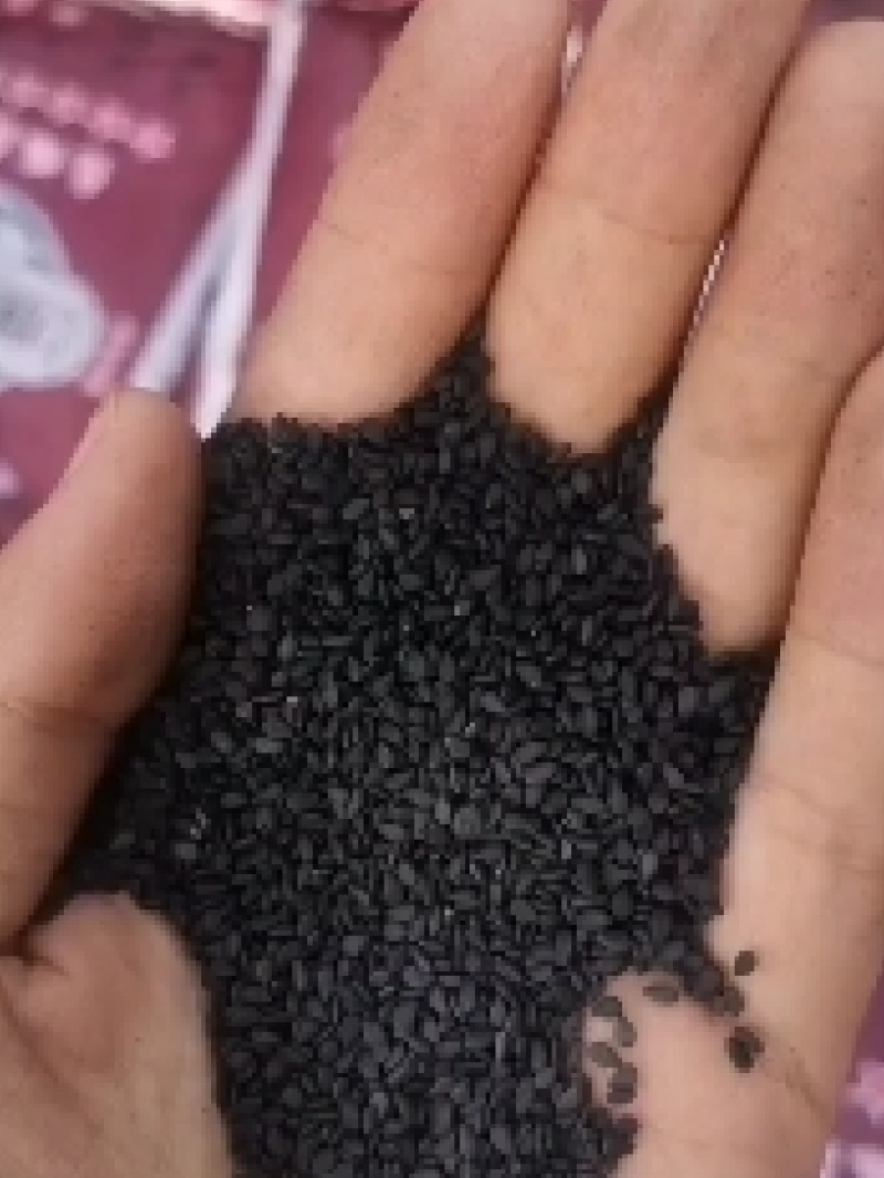 黑芝麻熟黑芝麻国产等品种齐全，物美价廉欢迎采购