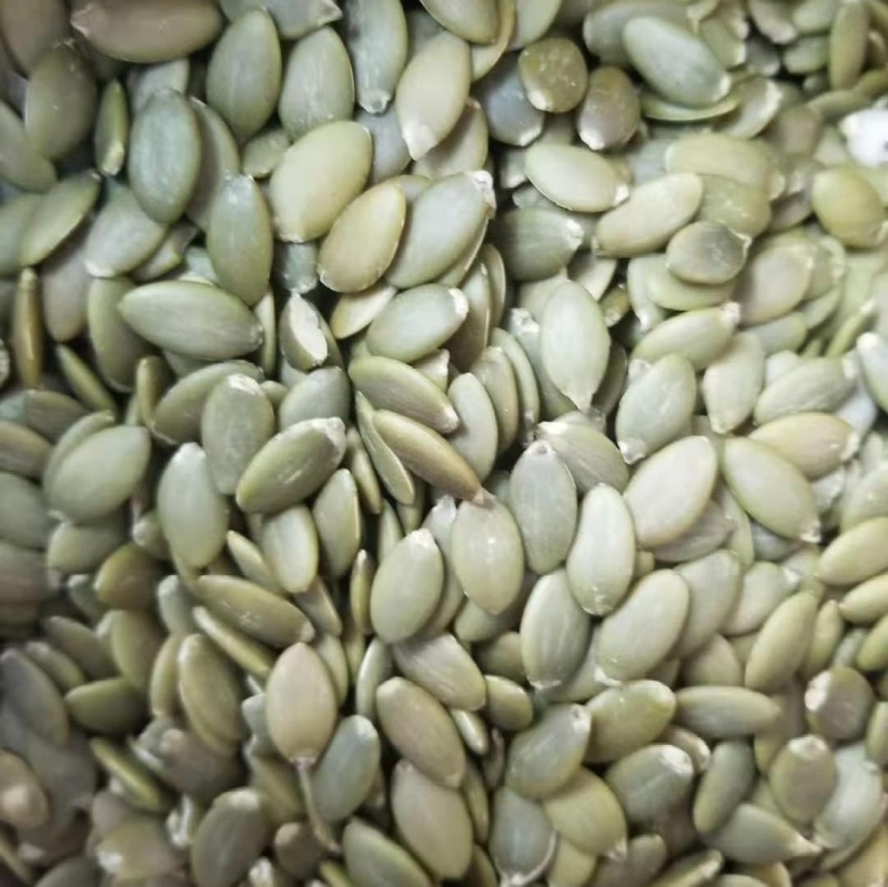 源头厂家生南瓜籽，原味南瓜仁，食品级南瓜