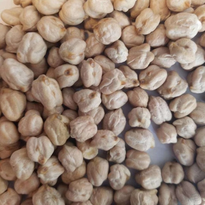 鹰嘴豆，新货，颗粒均匀，饱满，各种规格齐全，欢迎来电咨询