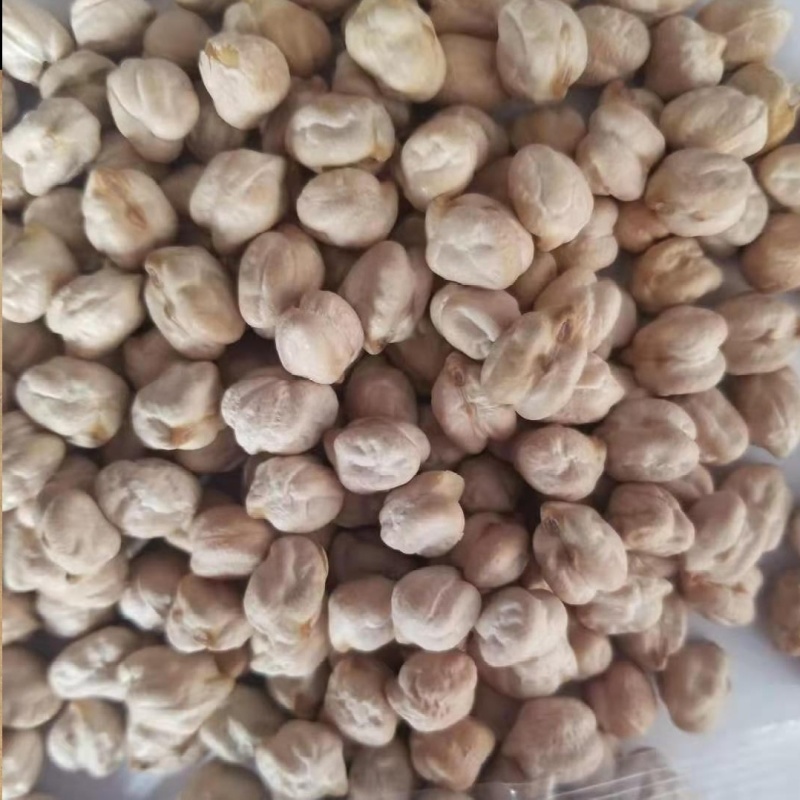 鹰嘴豆，新货，颗粒均匀，饱满，各种规格齐全，欢迎来电咨询