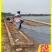 水泥毯护坡基坑支护水渠鱼塘河道修复水泥毯铺设