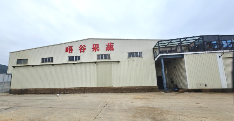 冷饮“金桔柠檬汁”源头工厂