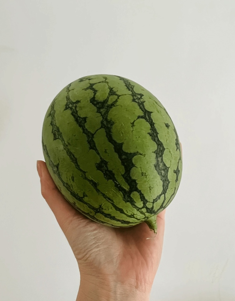【实力】山东淮坊全美2k西瓜皮薄多汁产地直销可视频看货