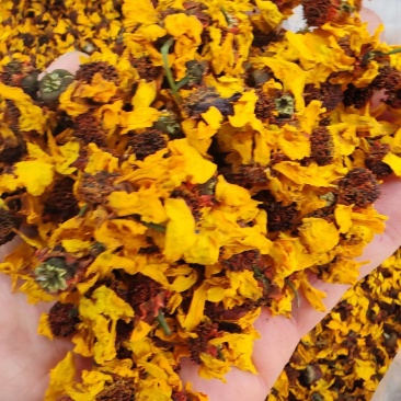 雪菊昆仑雪菊昆仑雪菊干货大货批发