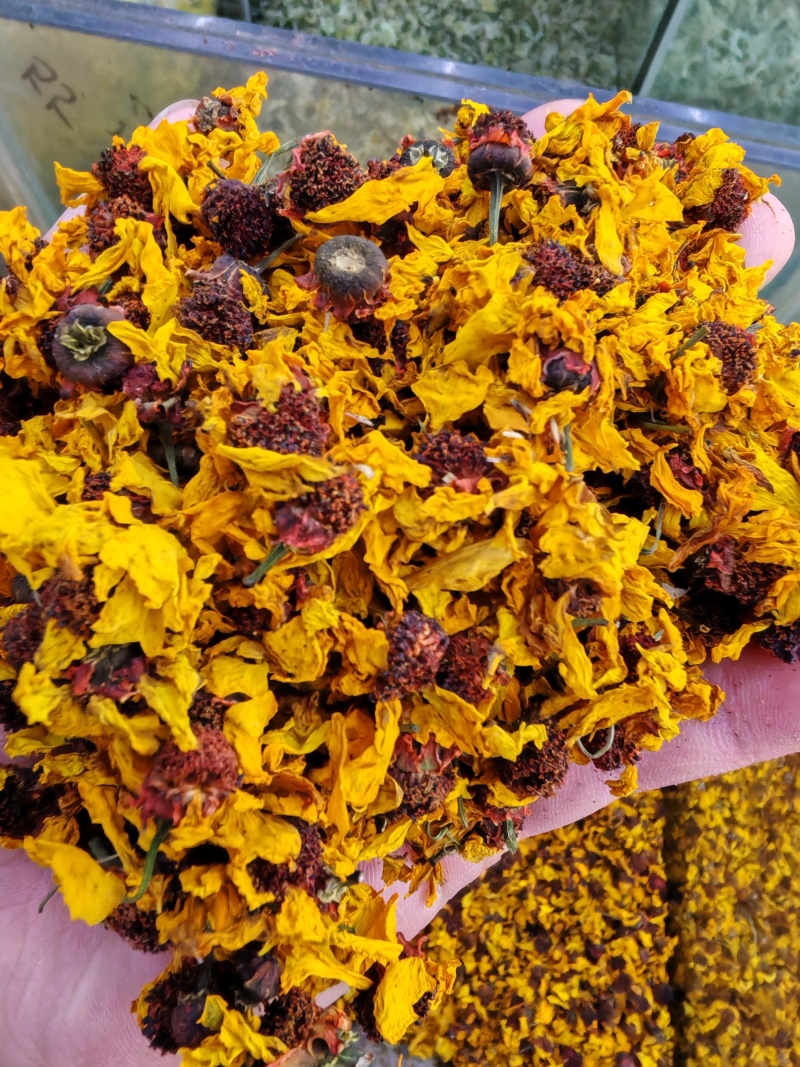 雪菊昆仑雪菊昆仑雪菊干货大货批发