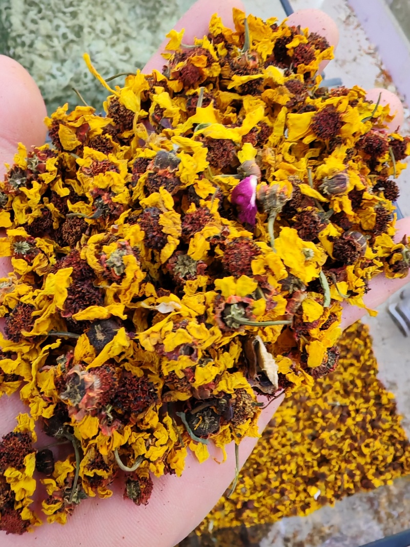 雪菊昆仑雪菊昆仑雪菊干货大货批发