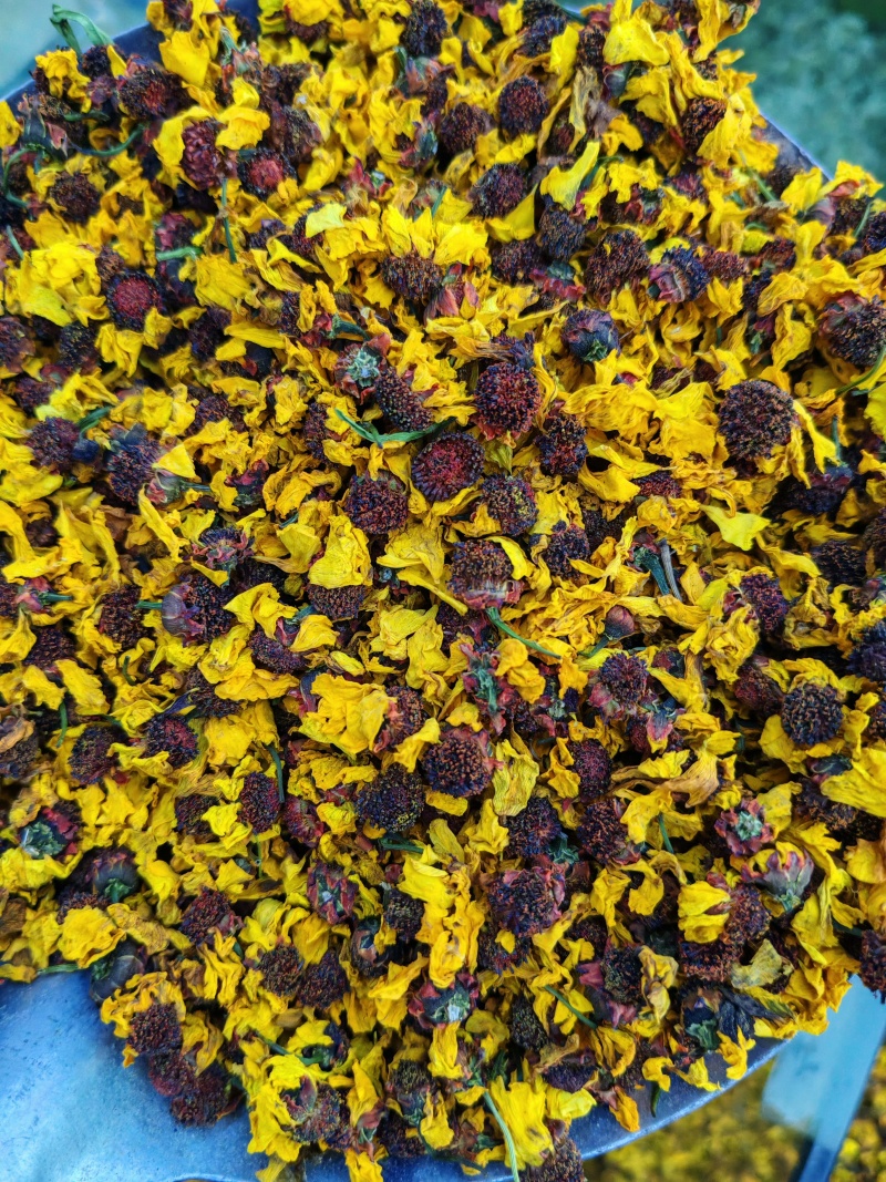 雪菊昆仑雪菊昆仑雪菊干货大货批发