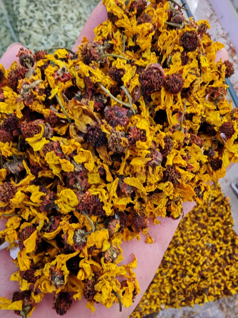 雪菊昆仑雪菊昆仑雪菊干货大货批发