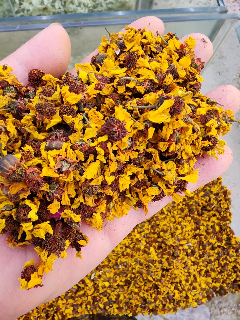 雪菊昆仑雪菊昆仑雪菊干货大货批发