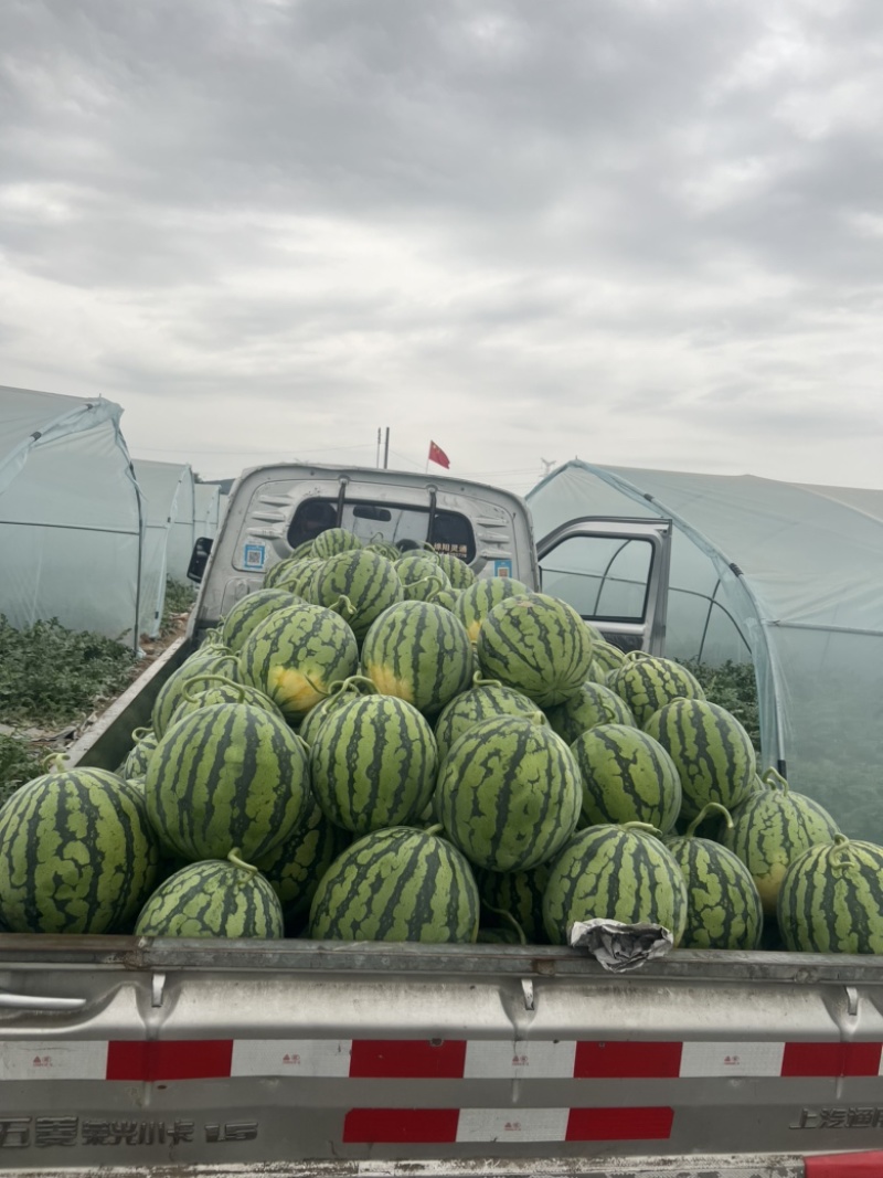 美都产地直销，精品美都，西瓜，绵阳西瓜