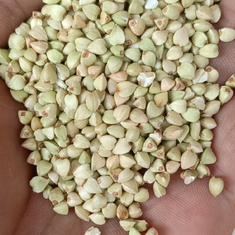 新荞麦米，过风过筛，可视频看货，欢迎来电咨询