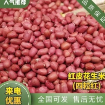 红皮花生米（四粒红），精选，量大从优，欢迎来电咨询