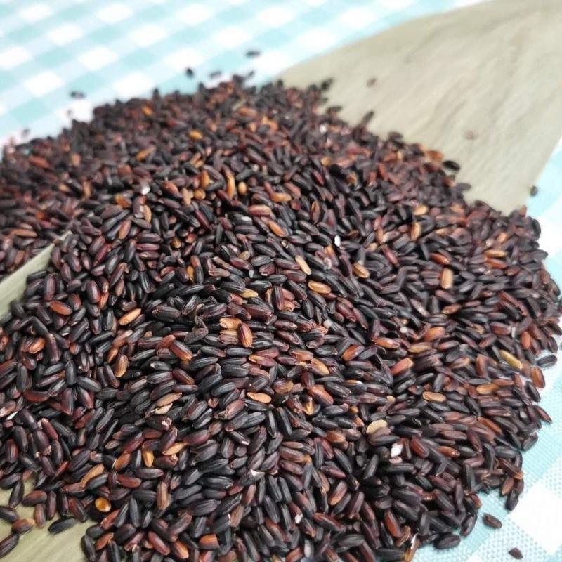 血糯米（黑糯米），糯性好，颗粒饱满均匀