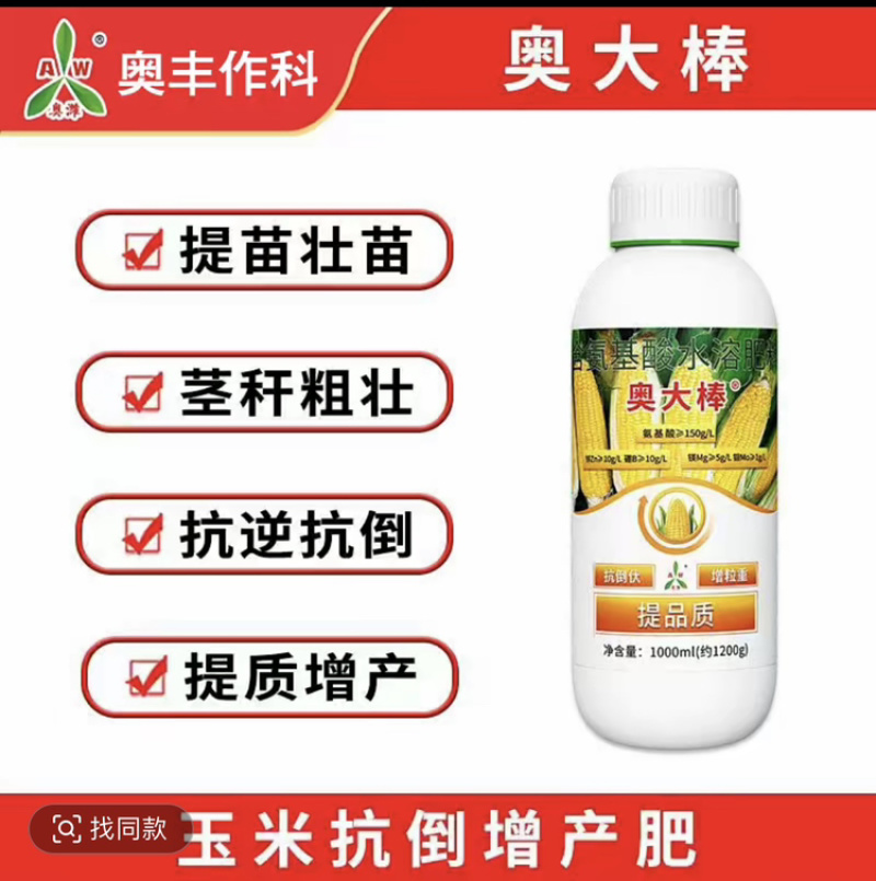 奥丰奥大棒玉米提苗壮苗茎秆粗壮提质增产