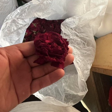 墨红玫瑰