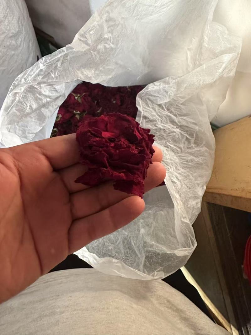 墨红玫瑰