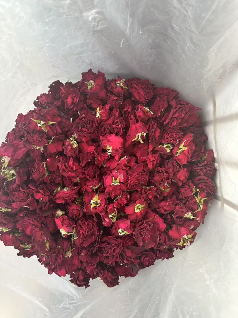 墨红玫瑰