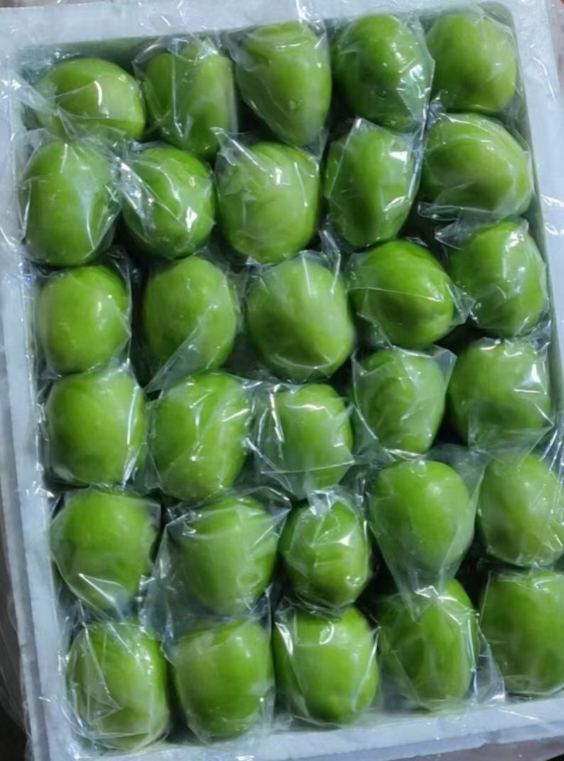 云南牛奶枣大青枣产品预售量大从优优质保障欢迎咨询