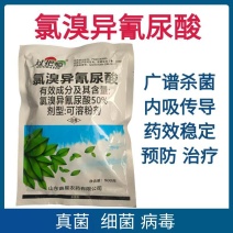 氯溴异氰尿酸溃疡病角斑枯萎炭疽病霜霉病软腐病病毒病杀菌剂