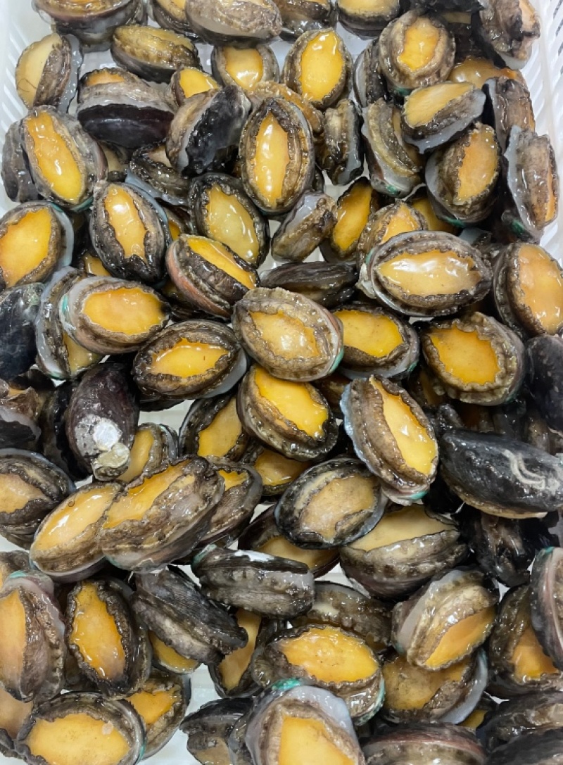 二去鲍鱼火锅炖汤清蒸浇汁佛跳墙商用袋装大小鲍鱼大C批发