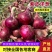 精品紫皮洋葱大量上市品质保证量大从优一手货源