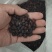 黑花生小粒稀有品种