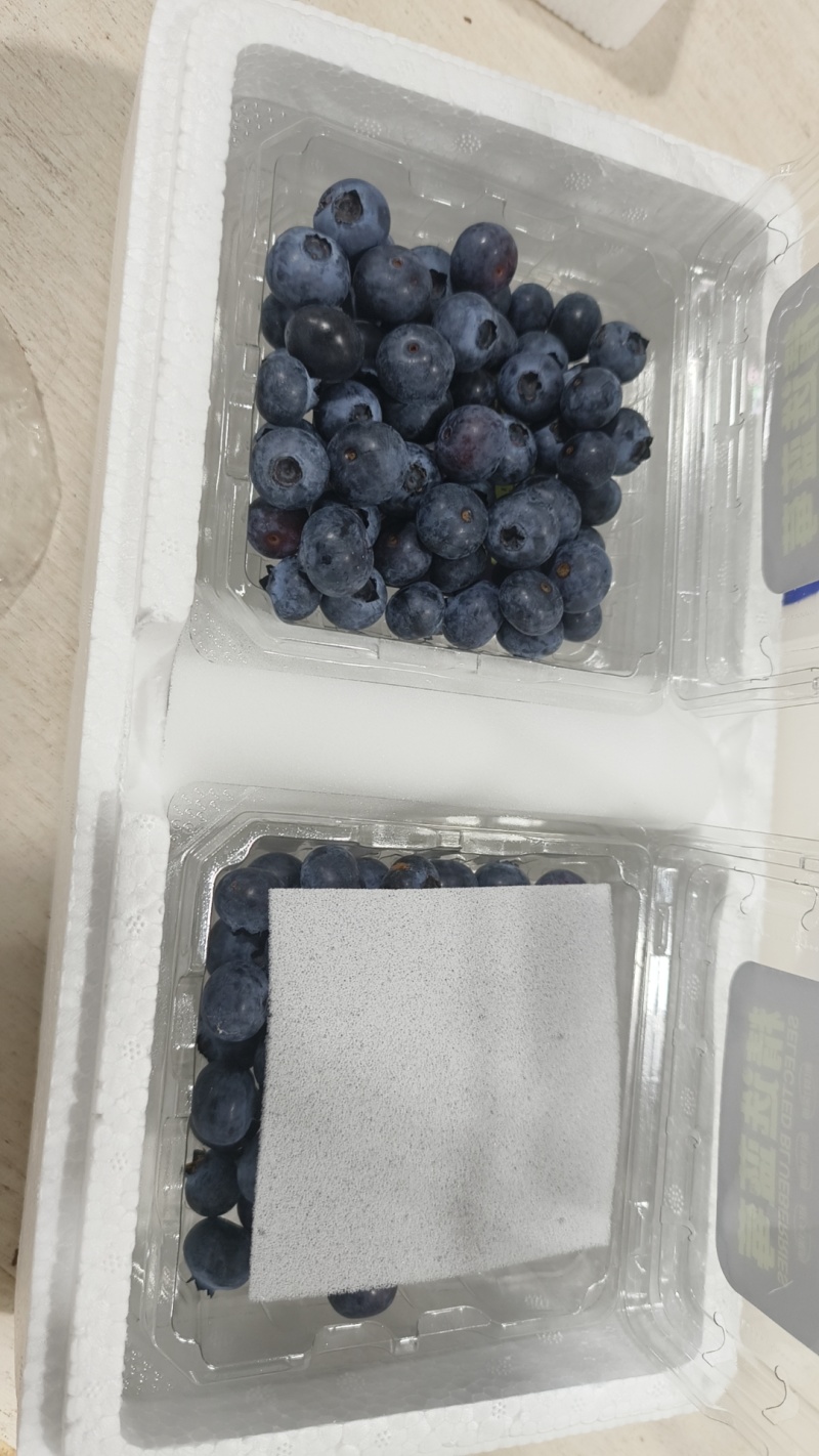 安徽露天花香蓝莓，各种品种都有，产量大，1000亩蓝莓基