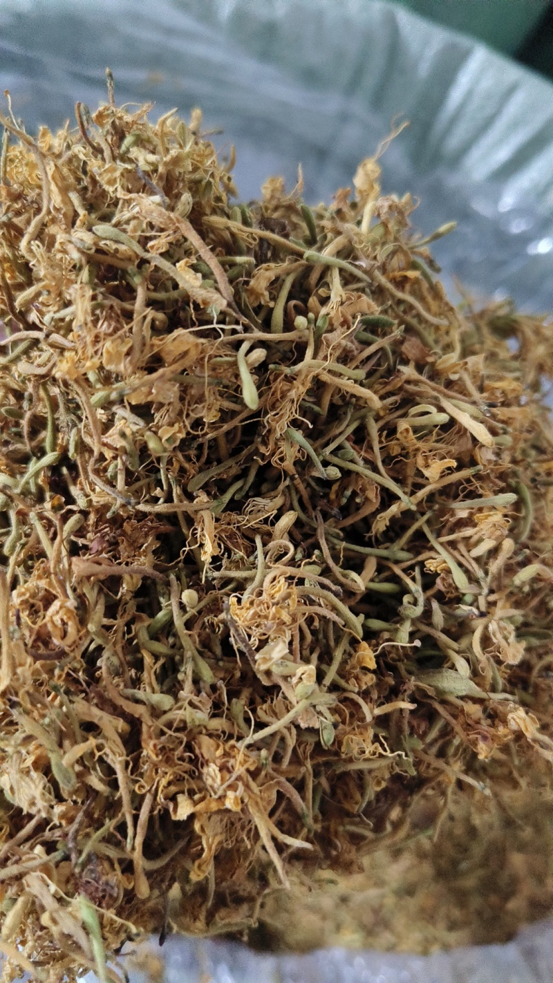 推荐，贵州安龙野生金银花开花选货，产地直供品质保证