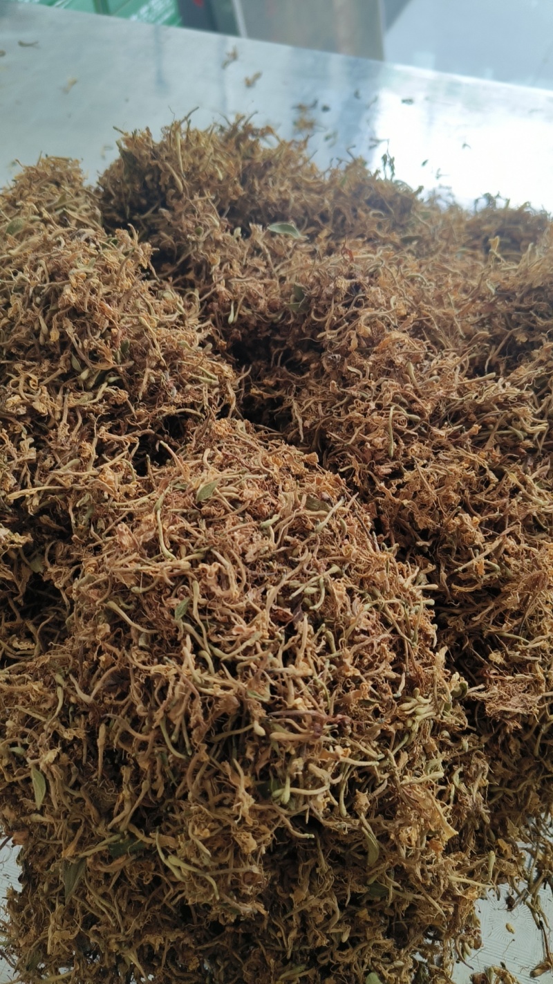 推荐，贵州安龙野生金银花开花选货，产地直供品质保证