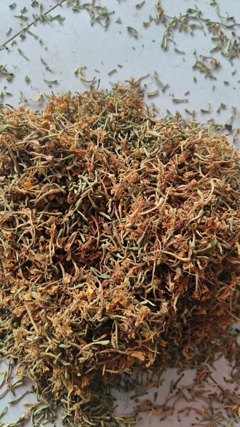 推荐，贵州安龙野生金银花开花选货，产地直供品质保证