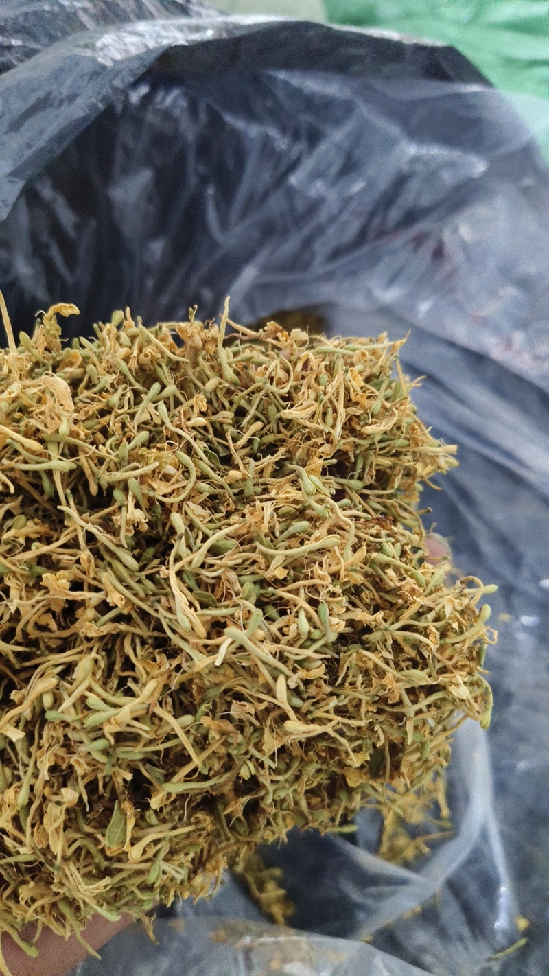 推荐，贵州安龙野生金银花开花选货，产地直供品质保证