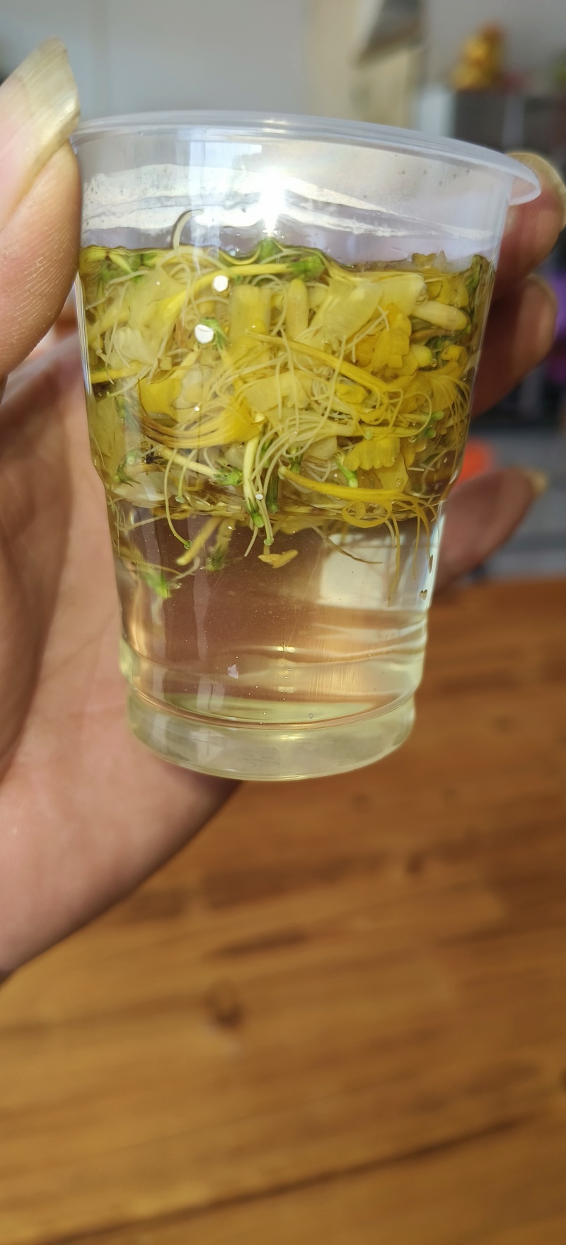 推荐，贵州安龙野生金银花开花选货，产地直供品质保证