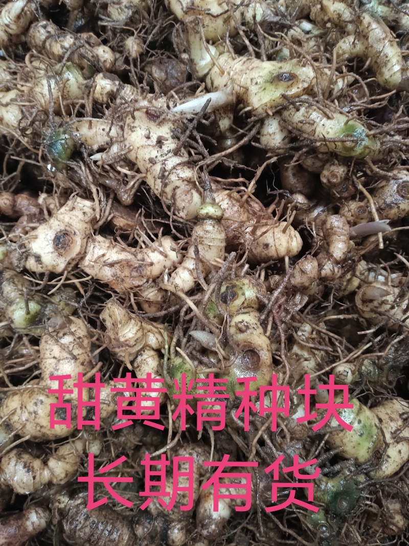 黄精2斤起售，真正野生无硫干货，大个鲜货，小个种茎。