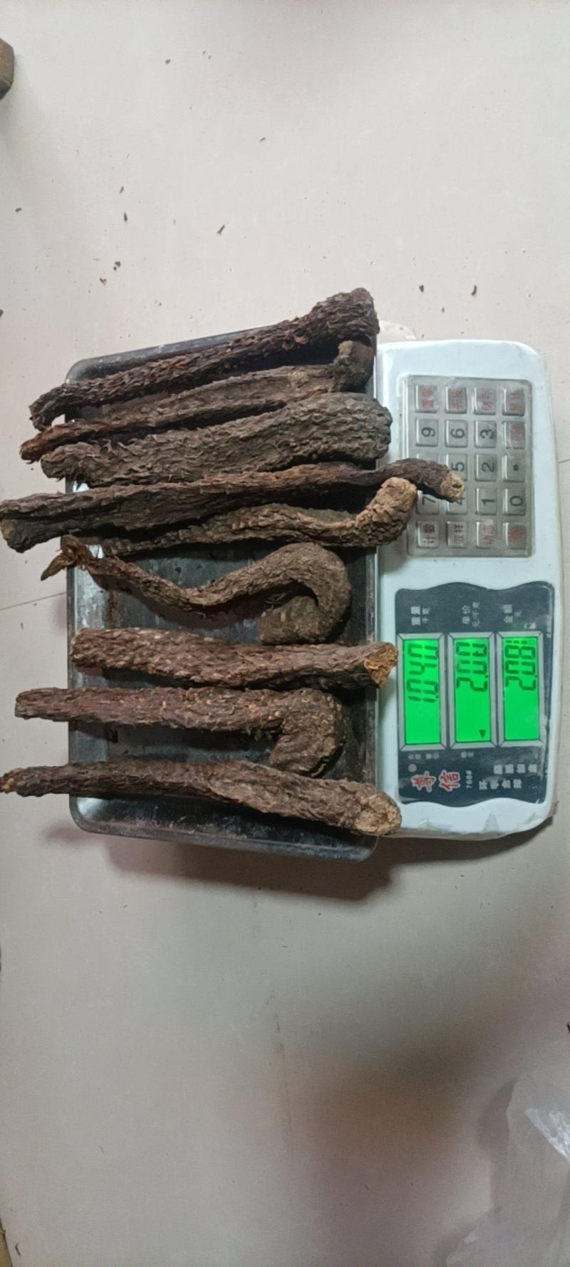 内蒙古阿拉善盟额济纳旗秋冬油肉苁蓉基地直销量大质优