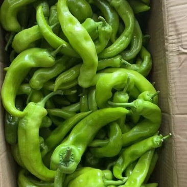 次货（二级货，头子，角子）