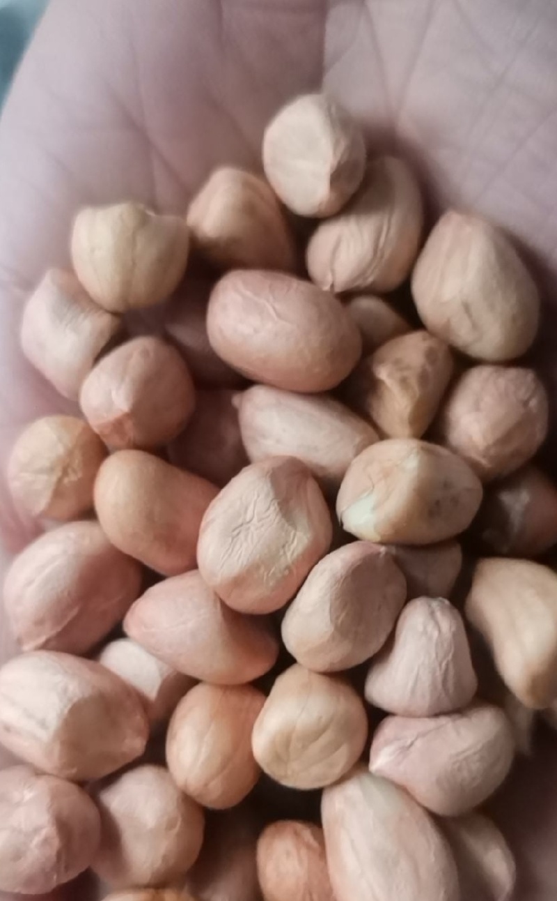 白沙系列花生米，规格齐全，品美价优，欢迎来电咨询