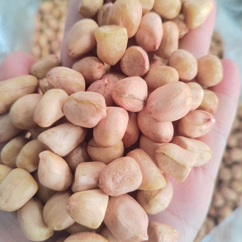 白沙系列花生米，规格齐全，品美价优，欢迎来电咨询