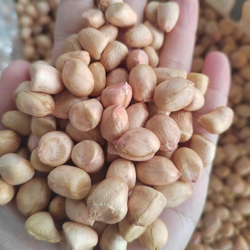 白沙系列花生米，规格齐全，品美价优，欢迎来电咨询