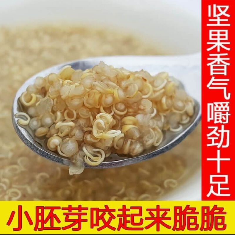 藜麦，白藜麦，红藜麦，黑藜麦，三色藜麦，品类齐全，货美价优
