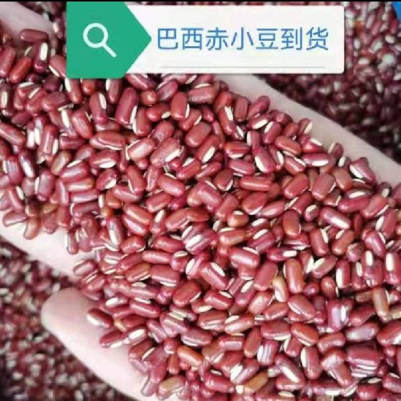 赤小豆，规格齐全，物美价廉，烘焙食品加工现货，欢迎咨询