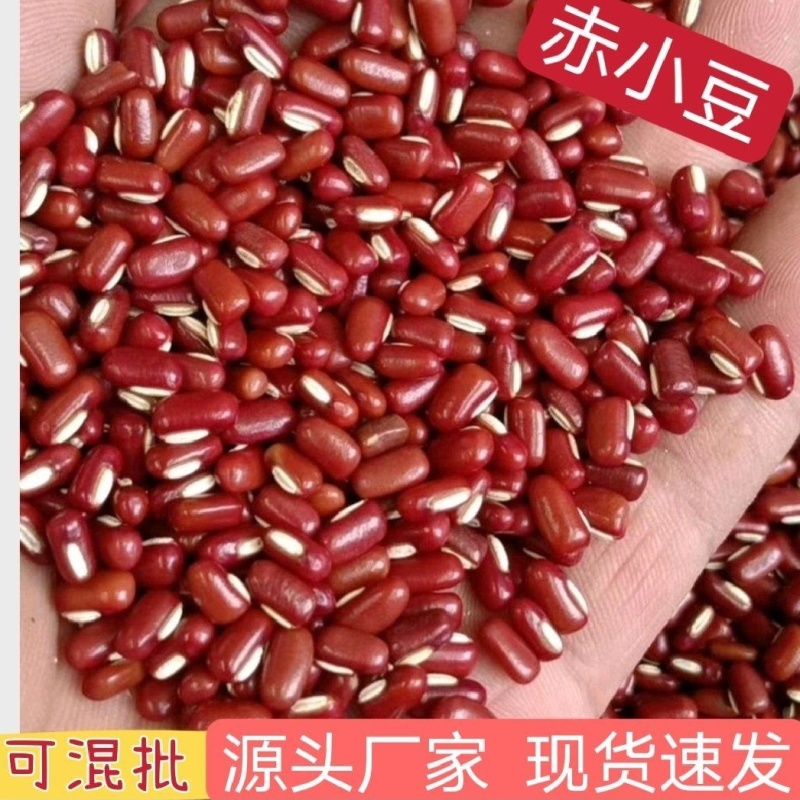 赤小豆，规格齐全，物美价廉，烘焙食品加工现货，欢迎咨询